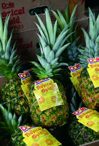 Pineapple_0097