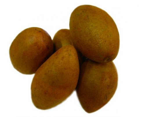 Sapodilla_1930