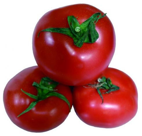 Tomato_1900